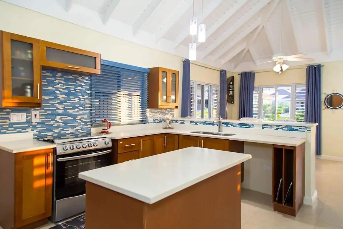 Coolshade Lll - Richmond Estate - Fully Ac - 15Mins Ocho Rios Villa Priory